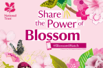 Mims Davies MP shares National Trusts #BlossomWatch week