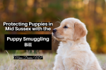 Mims Davies MP announces Plan to cut Puppy Smuggling in Mid Sussex