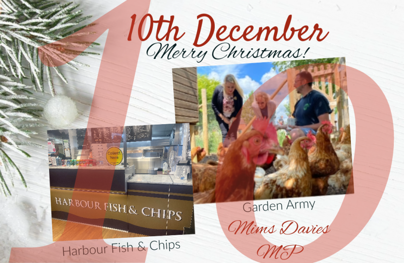 On the 10th Day of Christmas, Mims Davies MP presents - Harbour and Garden Army
