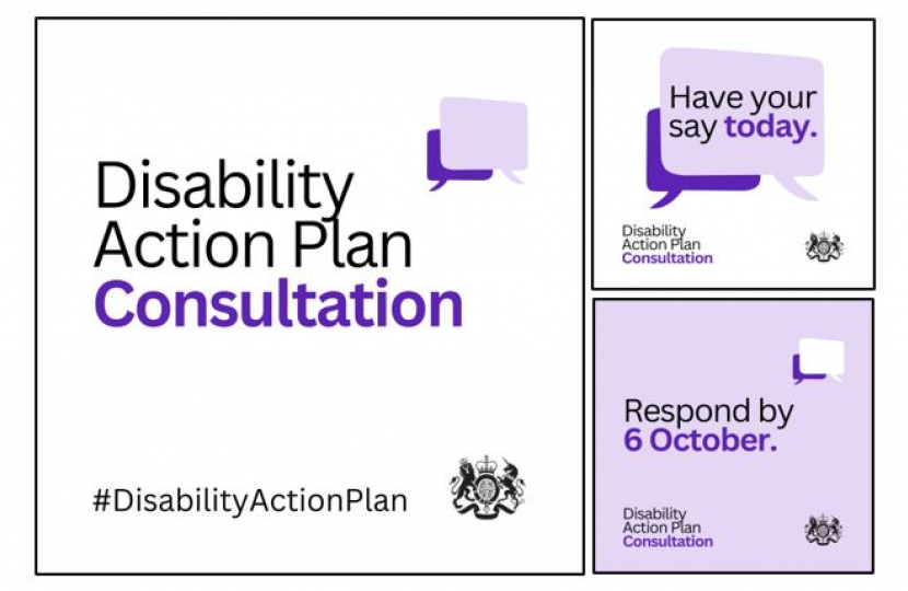 Disability Action Plan Consultation