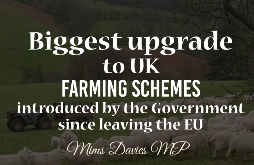 Mims Davies MP Backs UK Farming Schemes Upgrade and Food Labelling Announcements