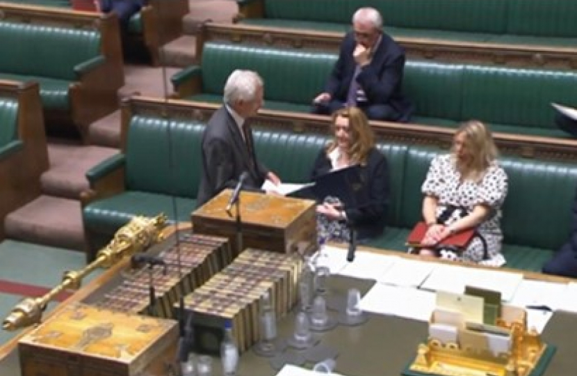 Mims Davies MP in the Commons Chamber 