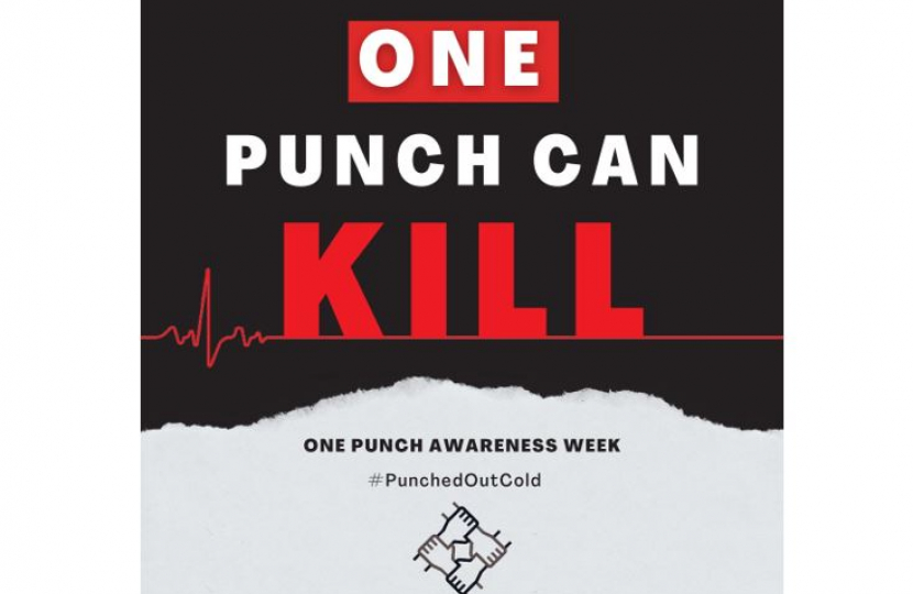 One punch awareness week 