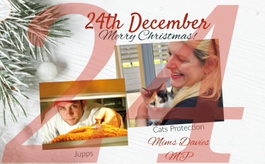 On the 24th Day of Christmas, Mims Davies MP presents - Cats Protection and Jupps Fish and Chips